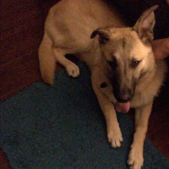 Meet your Posher, Hannah - Picture 1 of 1